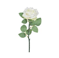 Haste Rosa Diamante Creme 44cm