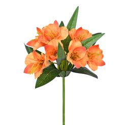 Haste Amarilis Cetim Laranja Outono 47cm