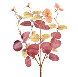 Buque Eucalipto C/4 Galhos Amarelo Marrom 31cm