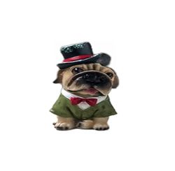 Cachorro Decorativo 10cm