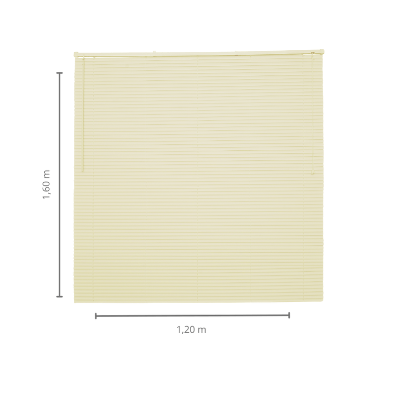06001240 -2-.png