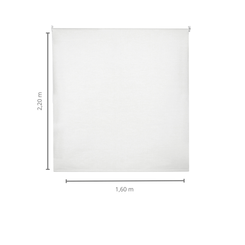 06001248 -2-.png