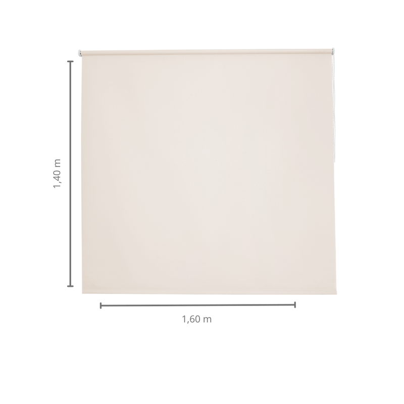 06004447 -2-.png