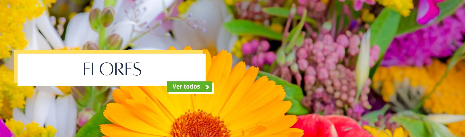 Na imagem é apresentado o título "Flores", com um fundo repleto de flores coloridas como margaridas, orquídeas e astromélias. Este banner convida o cliente a explorar a categoria de flores artificiais ou decorativas, perfeitas para trazer cor e vida aos ambientes sem a necessidade de manutenção constante.  Apresenta o botão ver todos para ser conferido as opções